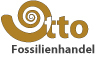 Fossilienhandel Otto